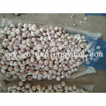 Fresh Red Garlic 2016 New Crop